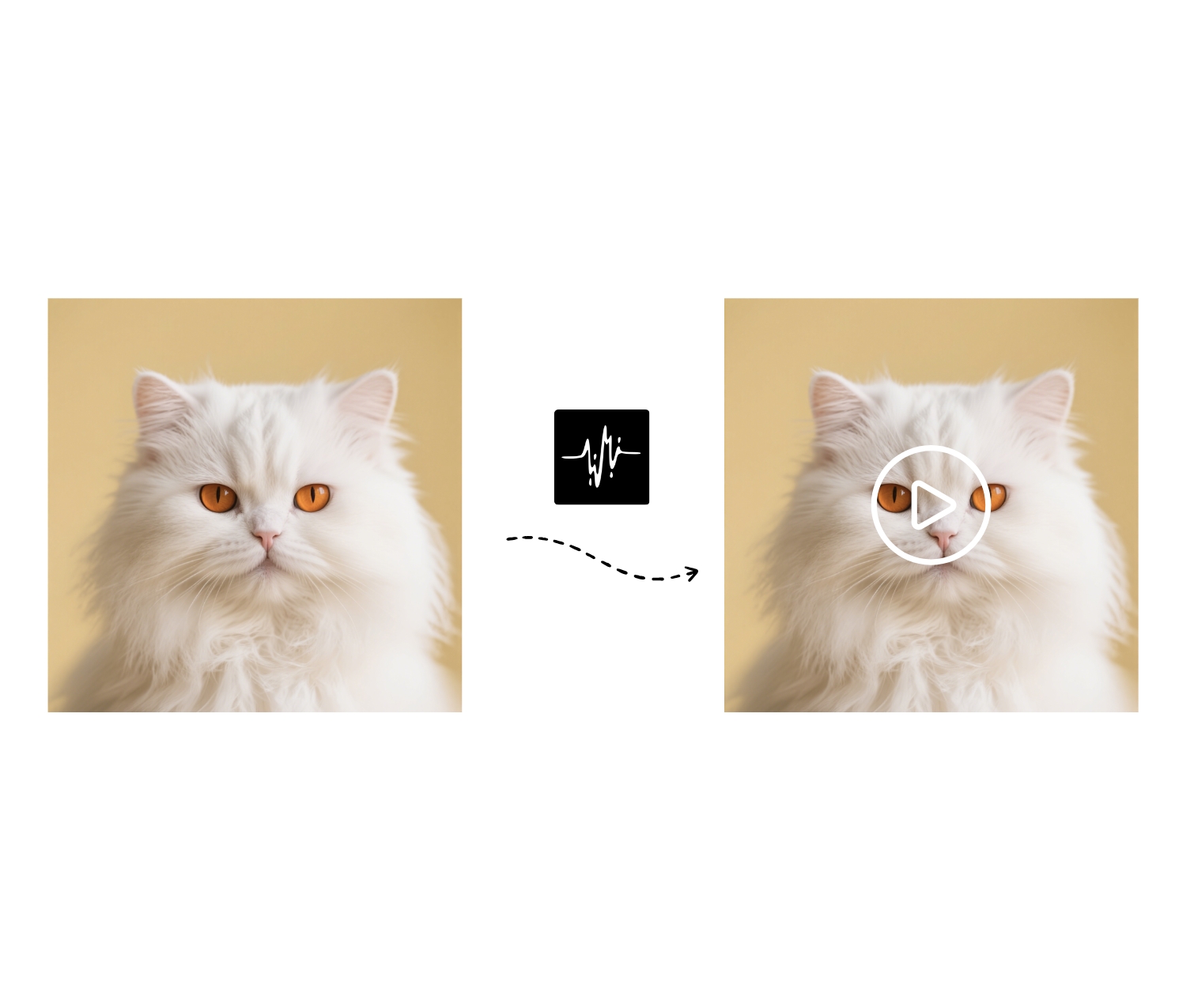 Virtual Events & Conferences with AI Pet LipSync